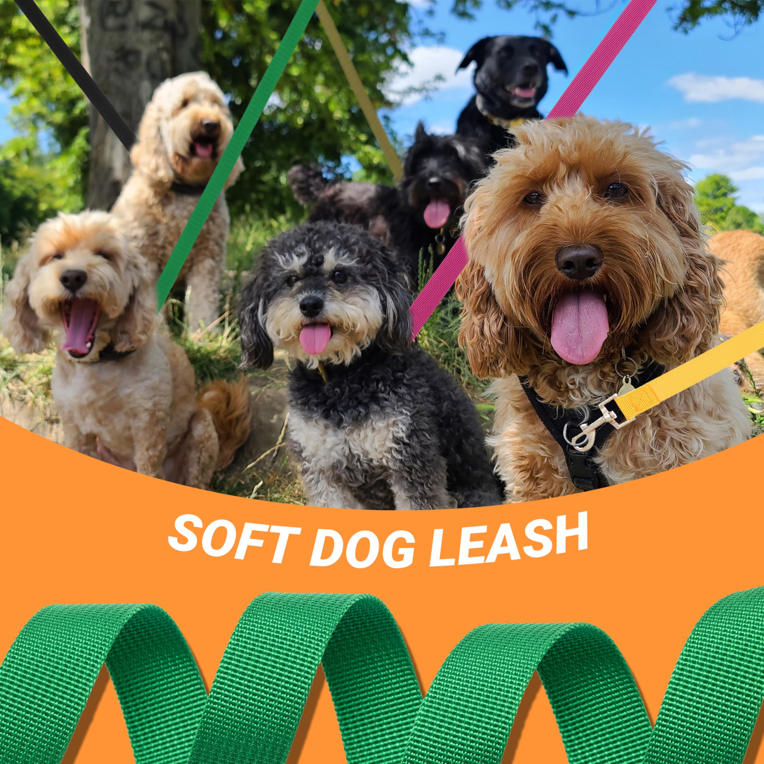 AMFOSNEL daily walk 6ft leash set for multiple dogs