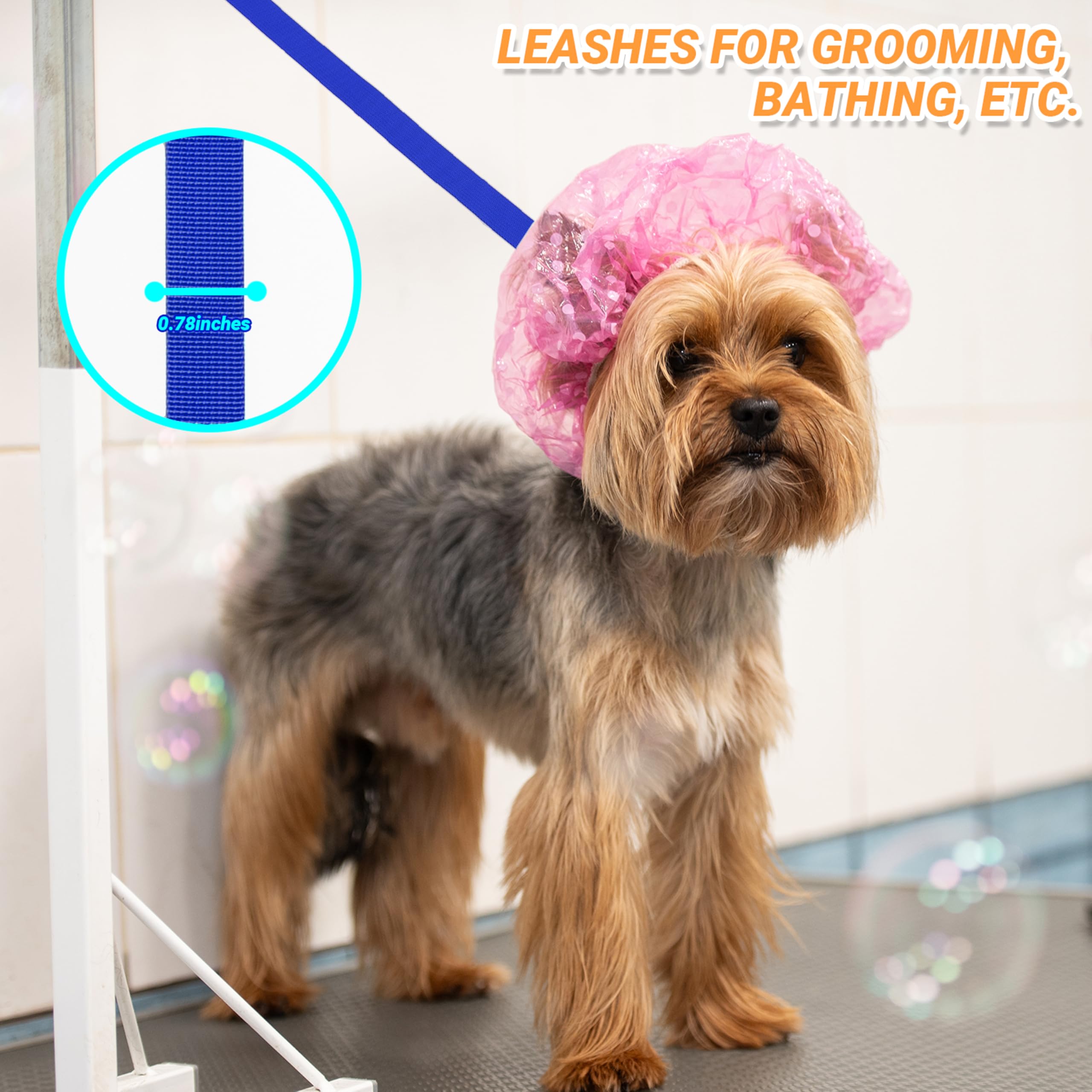 AMFOSNEL leash set suitable for grooming, rescue, and shelters