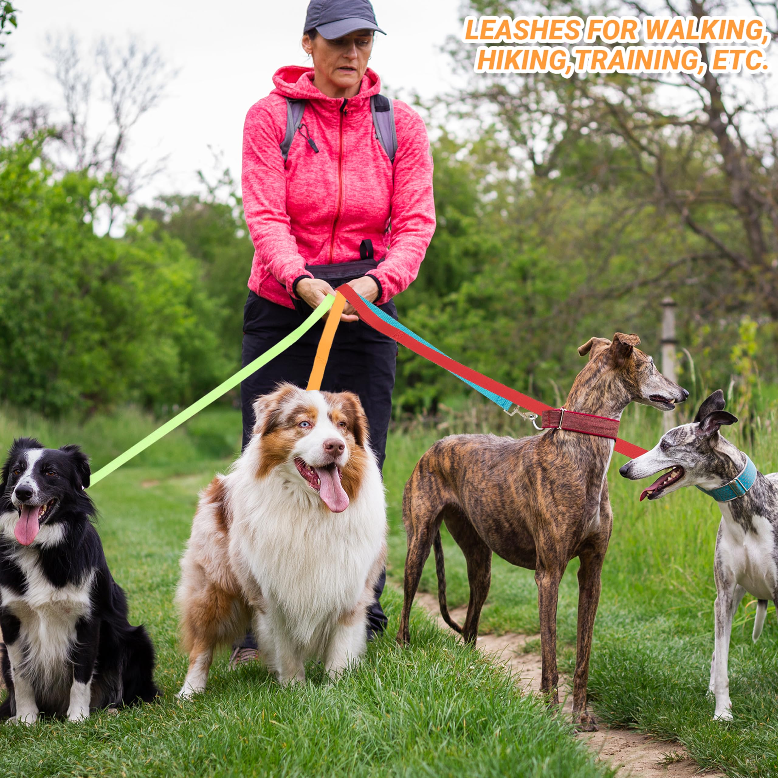 AMFOSNEL travel outdoor leash collection ideal for adventures