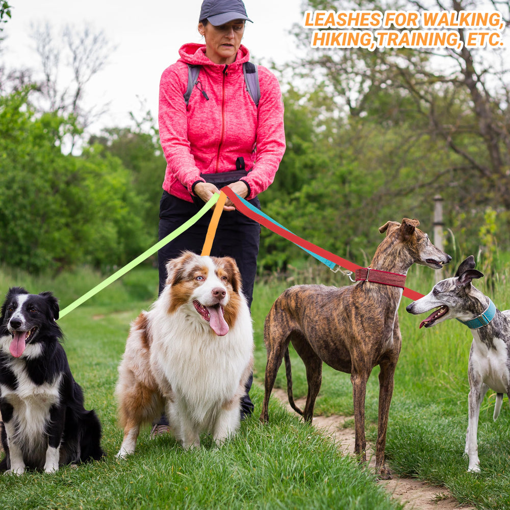 AMFOSNEL travel outdoor leash collection ideal for adventures