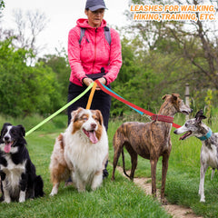 AMFOSNEL travel outdoor leash collection ideal for adventures