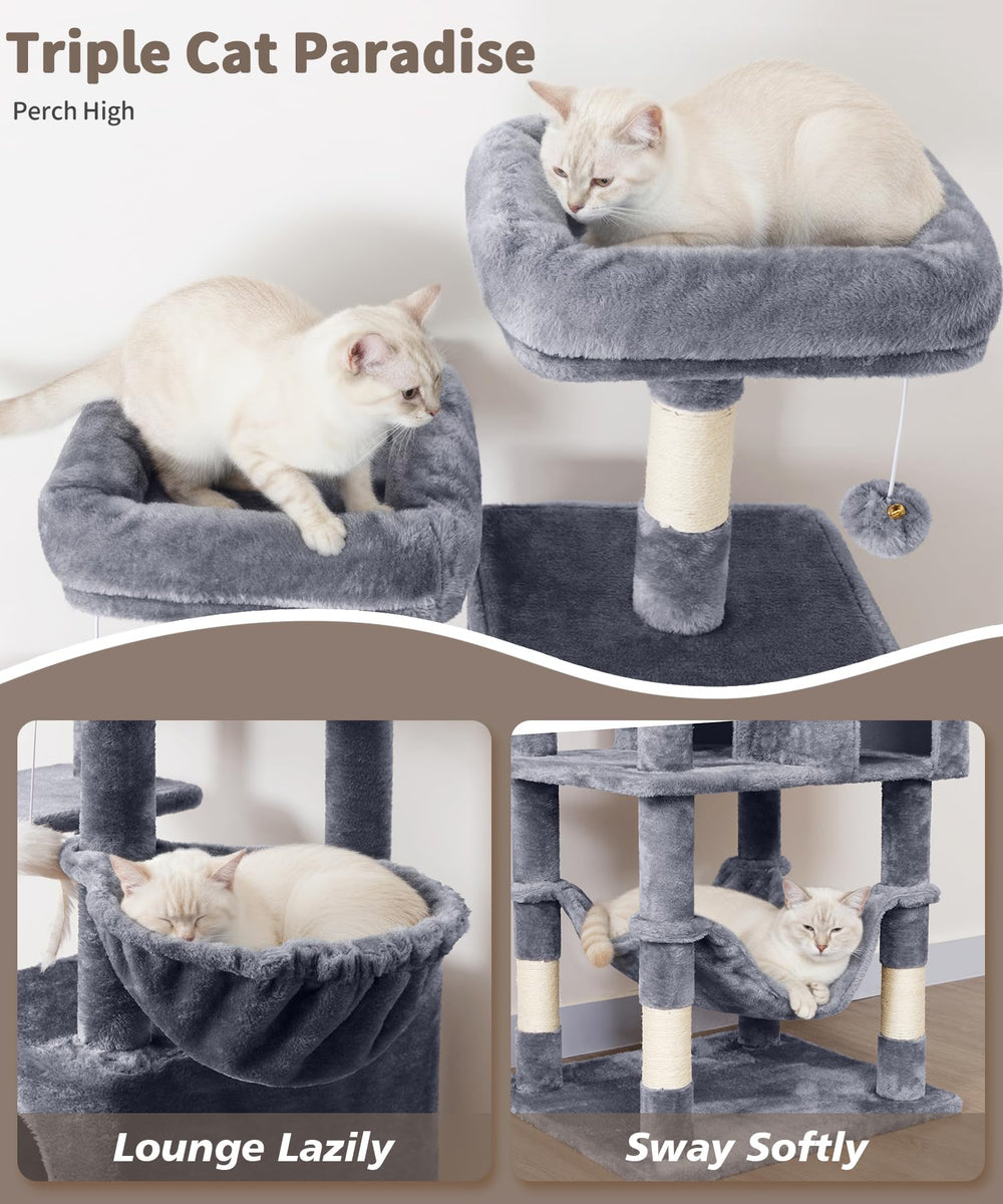 AMHANCIBLE condo 2 offers a spacious retreat for multi-cat households.