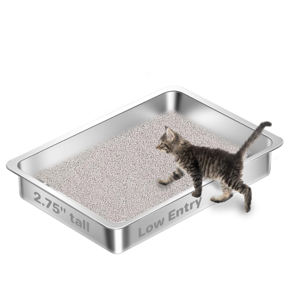 Amibud low-entry stainless steel litter box front view for kittens