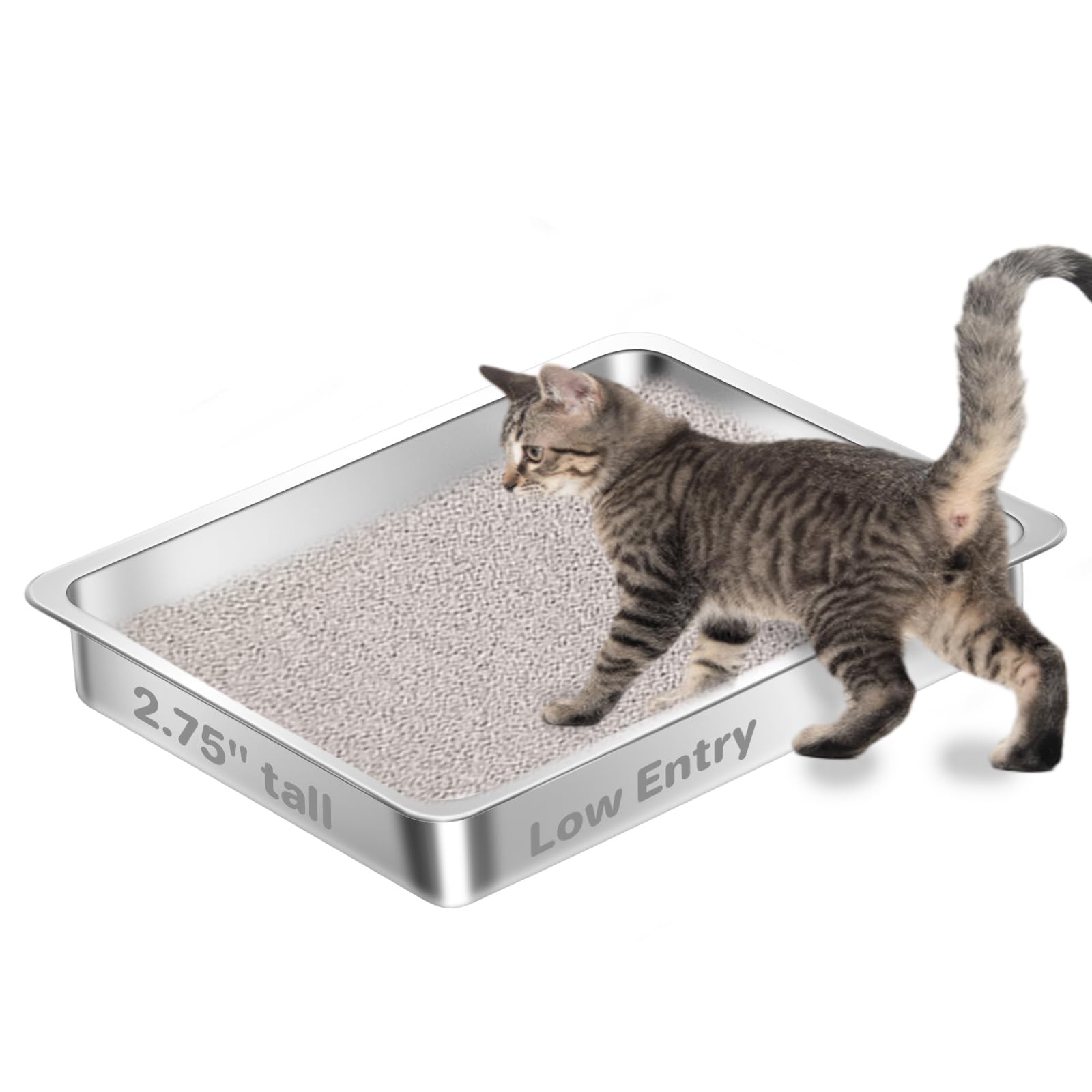 Amibud low-entry stainless steel litter box with easy-access design for kittens.