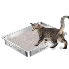 Amibud low-entry stainless steel litter box with easy-access design for kittens.