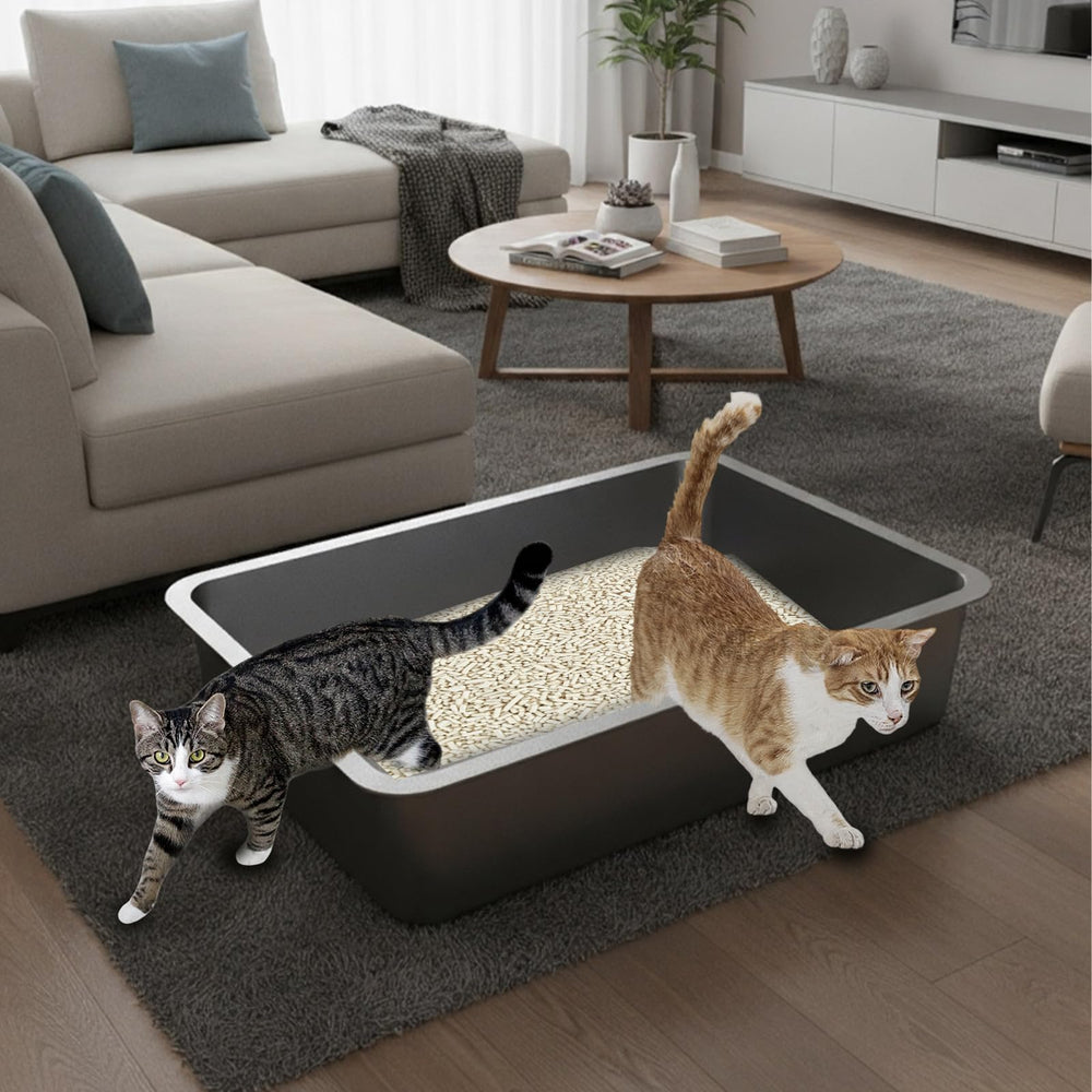 Amibud sifting litter box interior is easy to clean for odor control