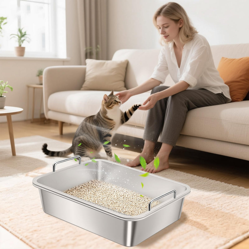 Amibud sifting litter box in use demonstrates secure space and stability for multi-cat homes