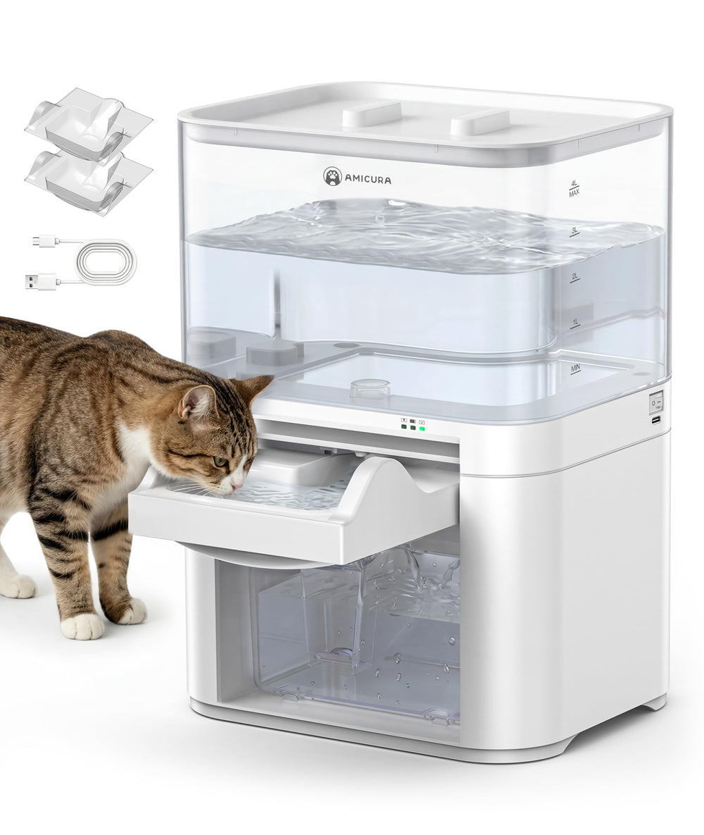 Amicura A10 dual-tank water fountain delivering fresh water to the bowl.