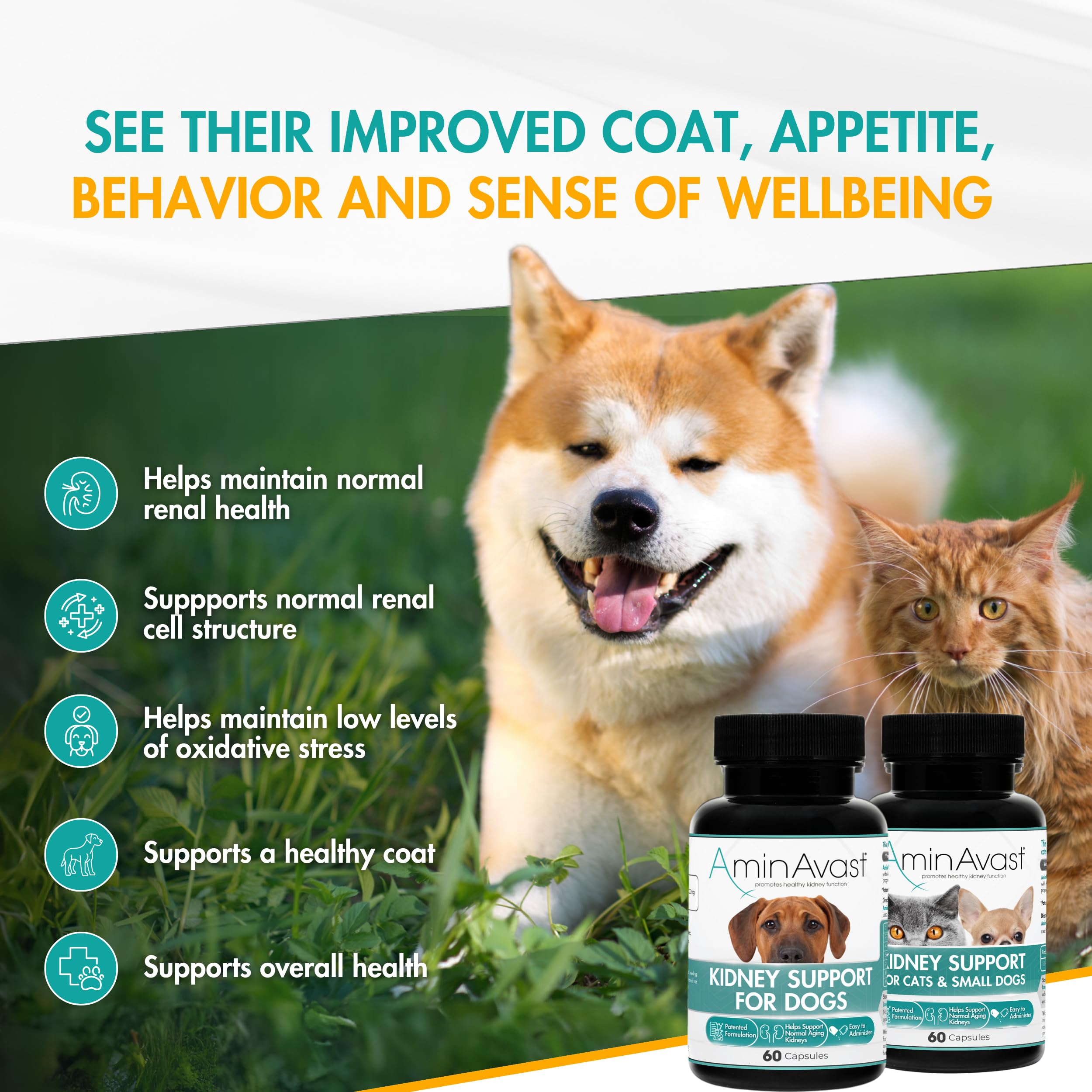 AminAvast 2-pack packaging showing the 300 mg kidney support supplement