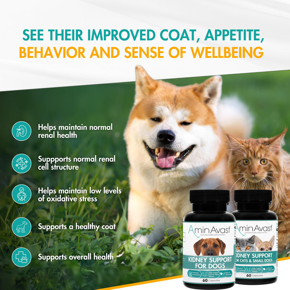 AminAvast 2-pack packaging showing the 300 mg kidney support supplement