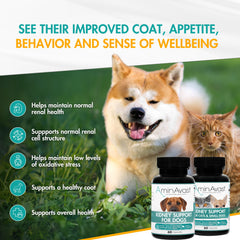 AminAvast 2-pack packaging showing the 300 mg kidney support supplement