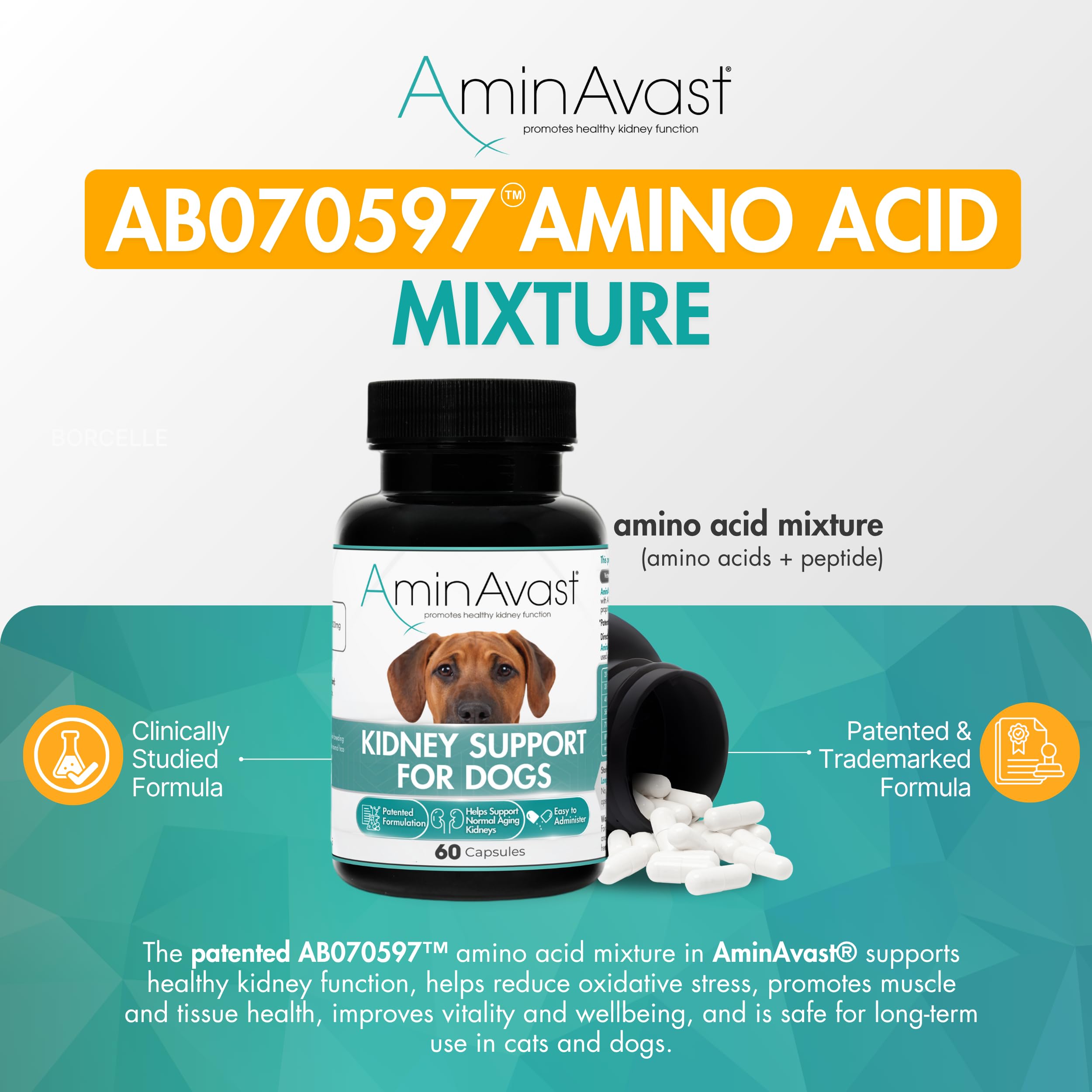 AminAvast capsules mixed into dog food for simple daily use