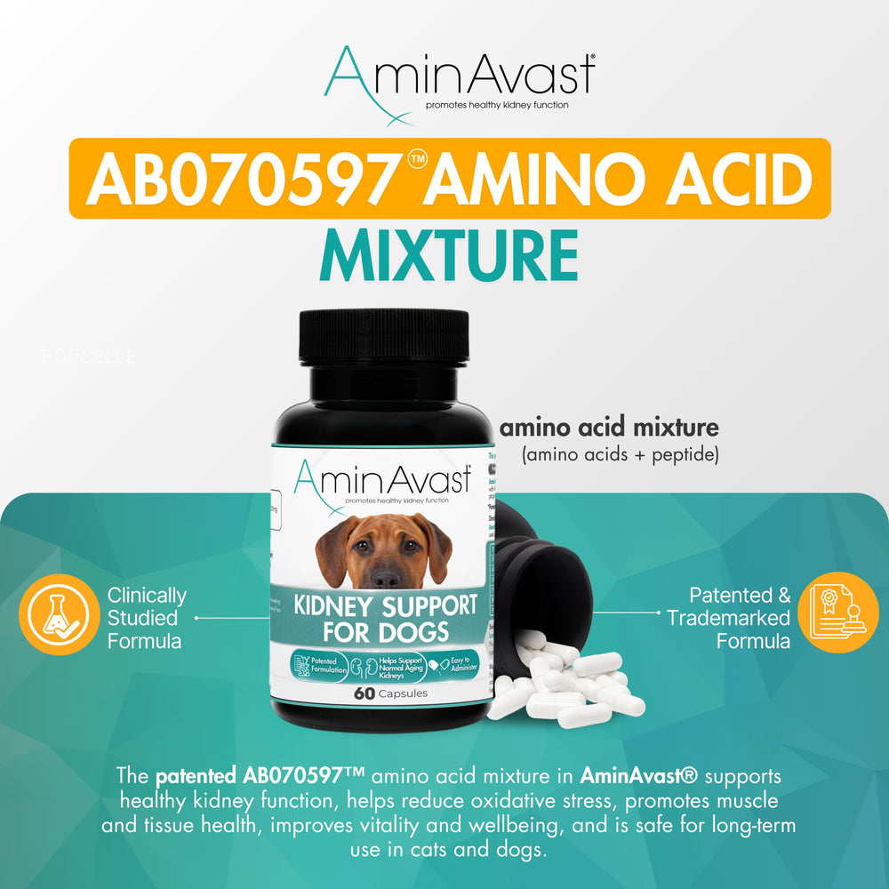 AminAvast capsules mixed into dog food for simple daily use