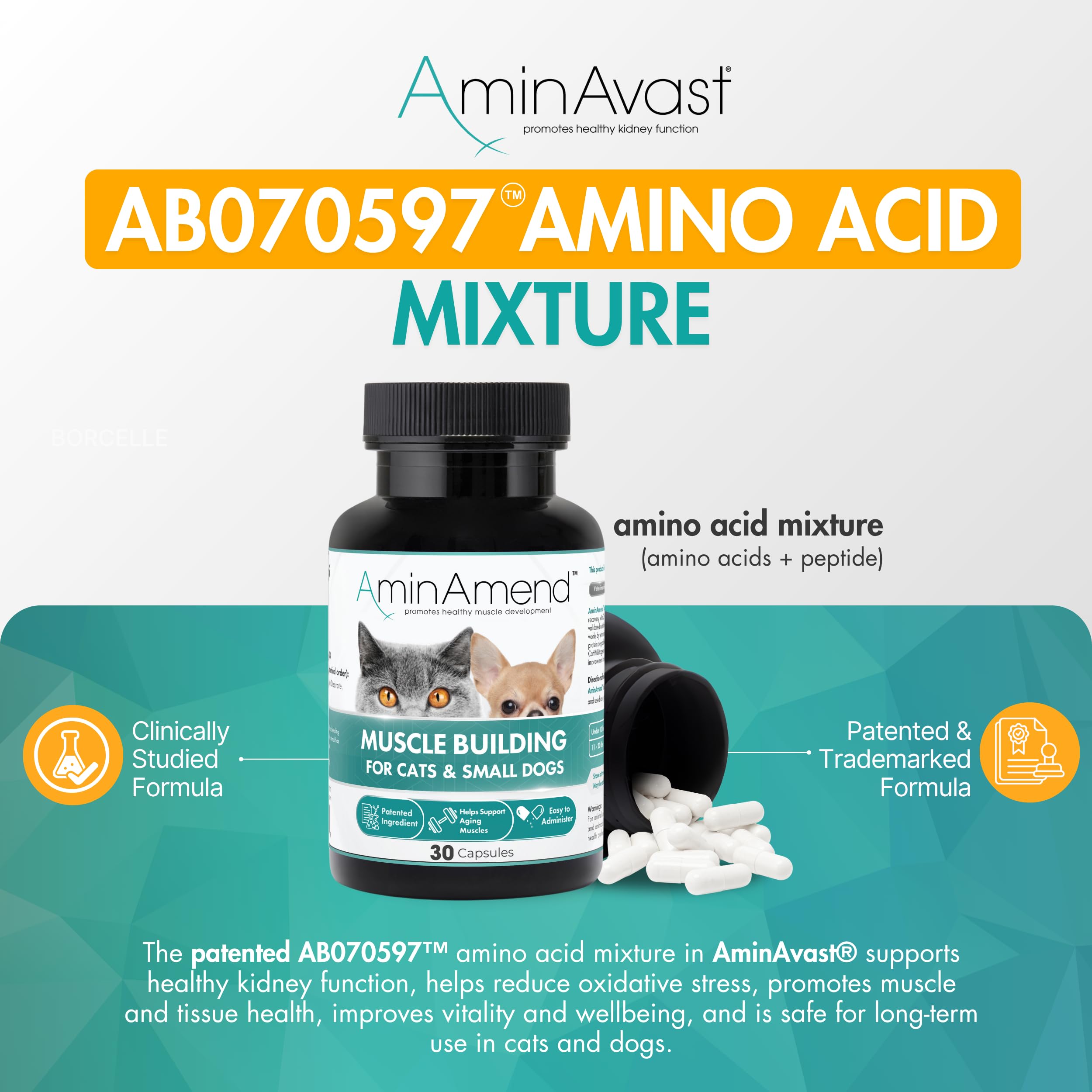 AminAvast cat-dog urinary health capsules support urinary health in pets.