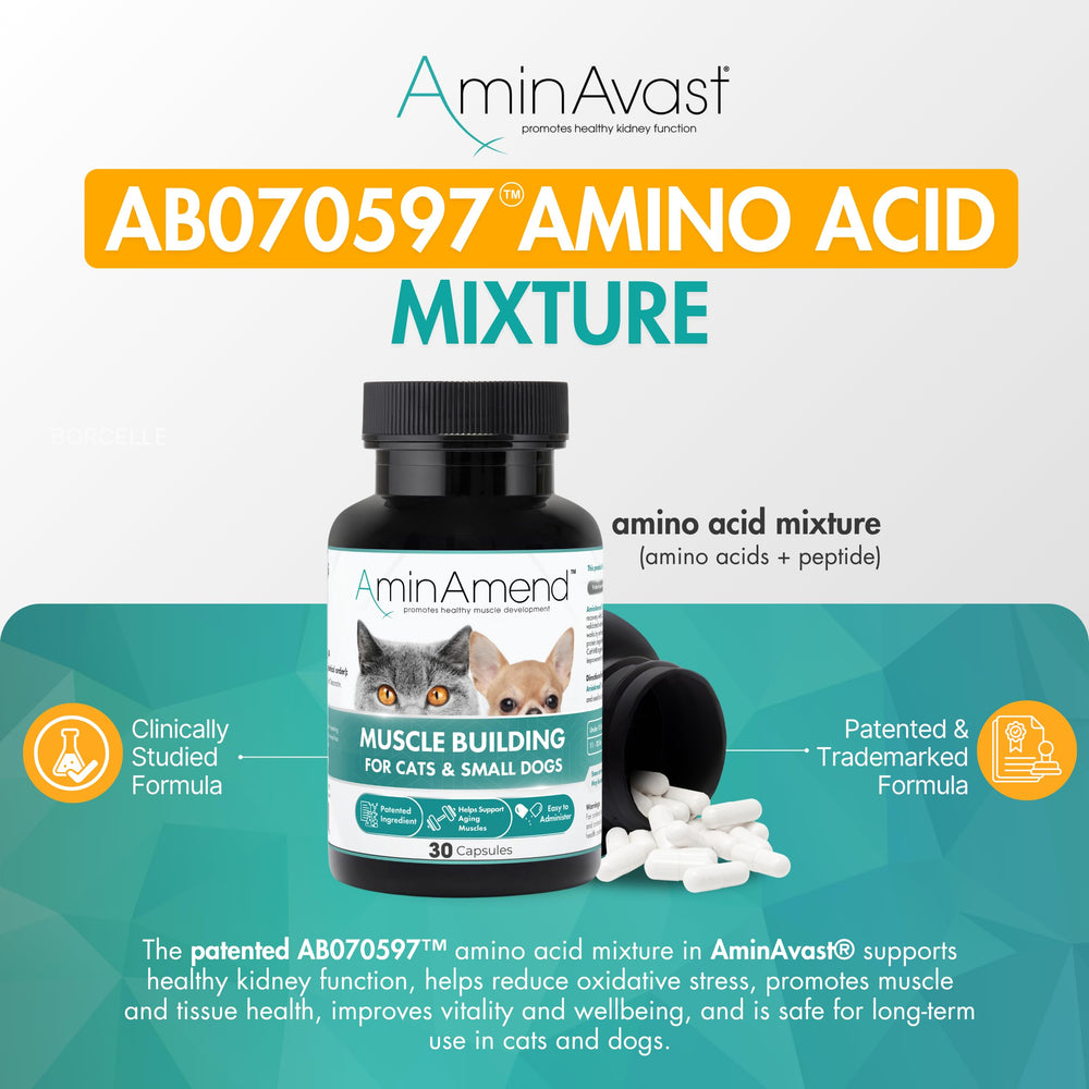 AminAvast cat-dog urinary health capsules support urinary health in pets.