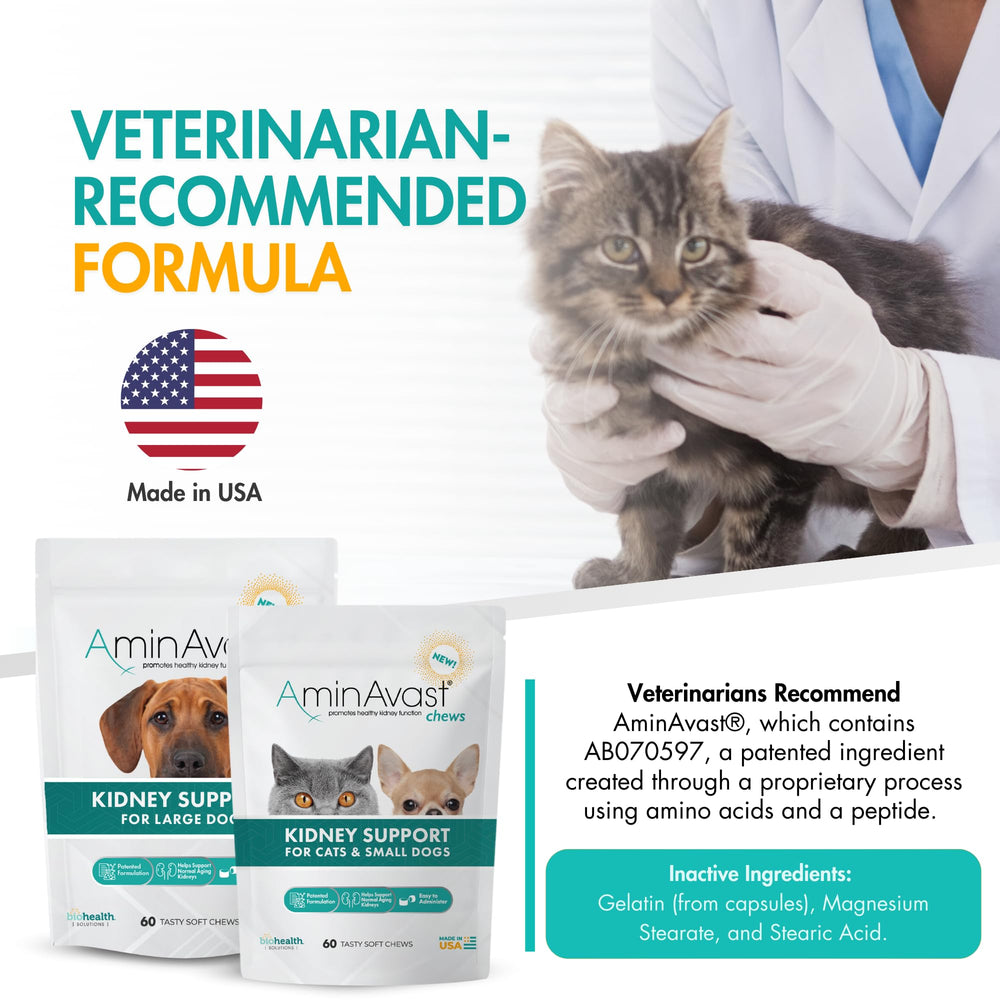 AminAvast closeup emphasizes palatable texture and key kidney-friendly formulation.