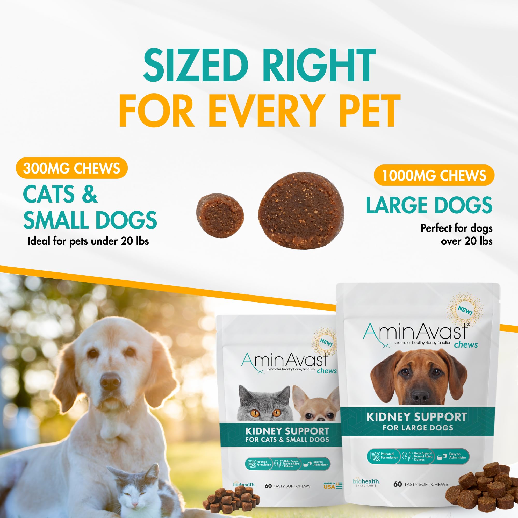 A dog enjoys AminAvast soft chew for kidney-friendly daily use