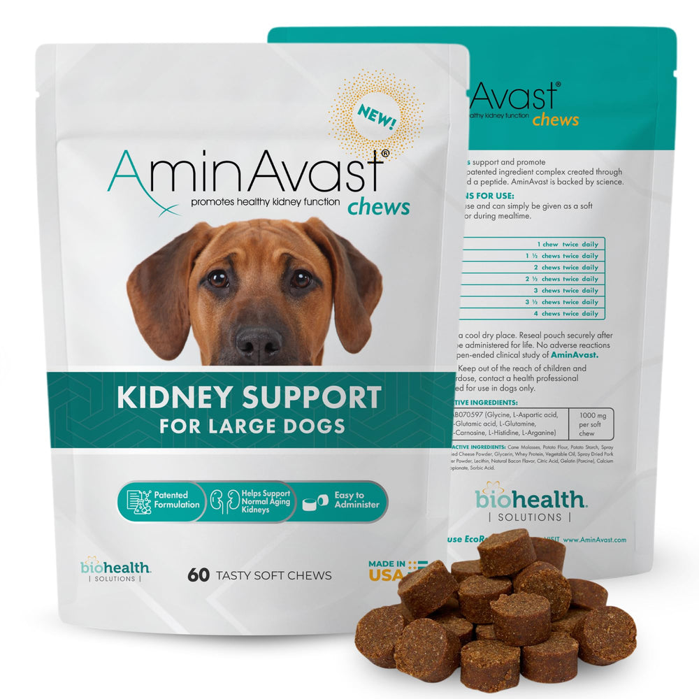 AminAvast bottle supports daily renal health for dogs