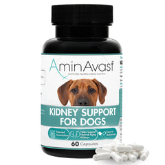 AminAvast dog kidney supplement bottle highlights kidney support for aging pets
