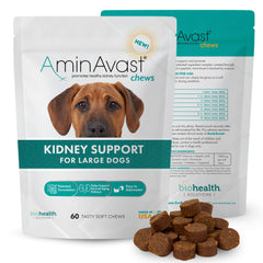 AminAvast bottle supports daily renal health for dogs