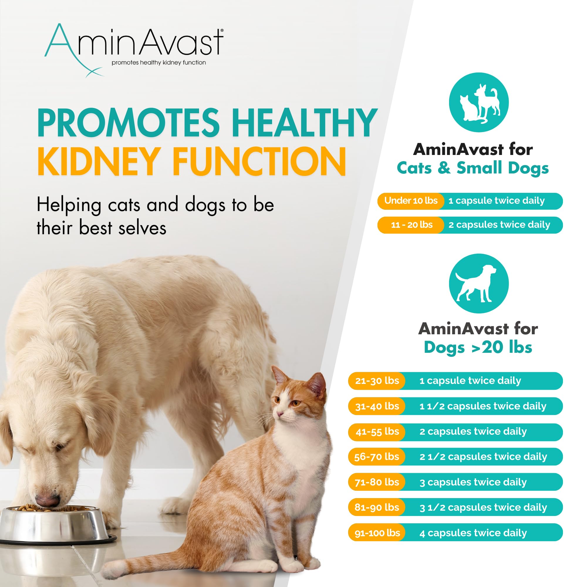 AminAvast easy-to-administer feeding option for busy pet owners.