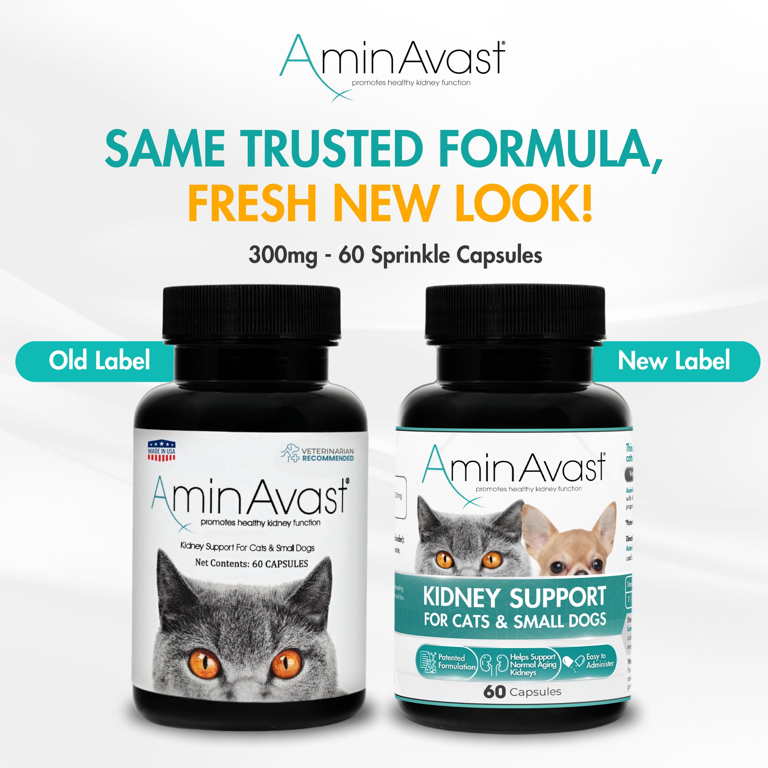 AminAvast capsules being mixed into cat food for easy daily supplementation