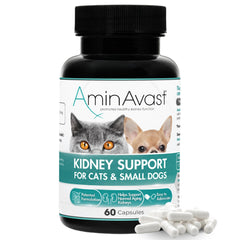 AminAvast kidney support capsules bottle aids renal health in pets.