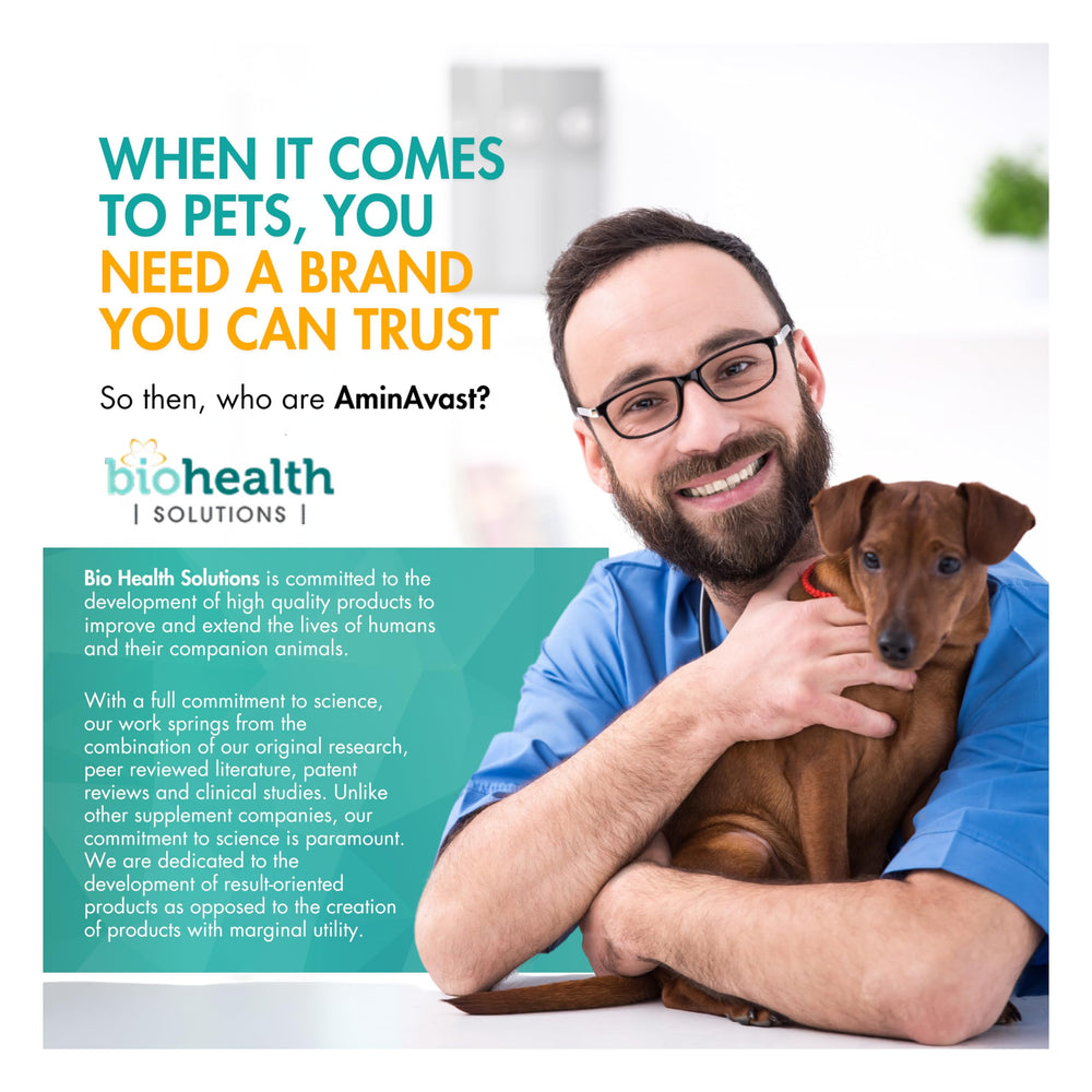 AminAvast supports kidney and urinary health in medium to large dogs