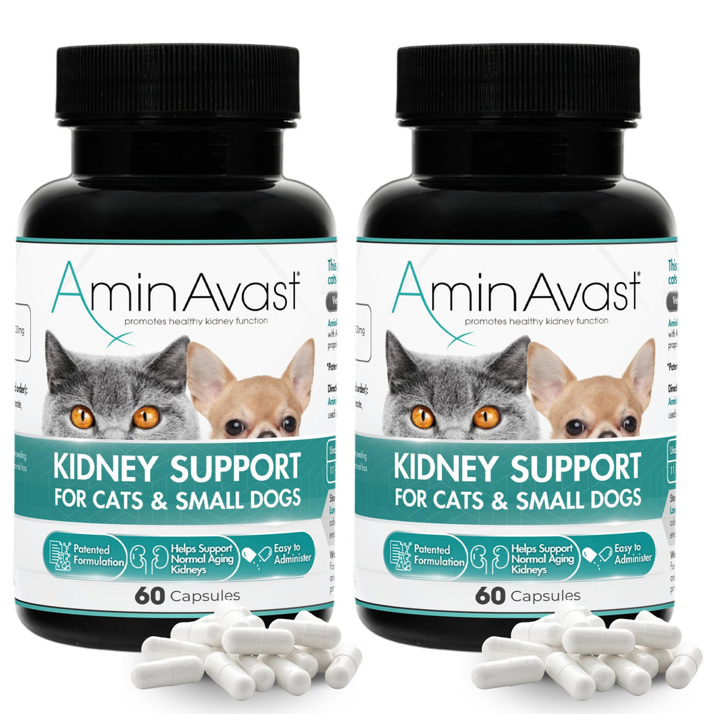 AminAvast kidney support capsules ready to sprinkle into pet meals for kidney care