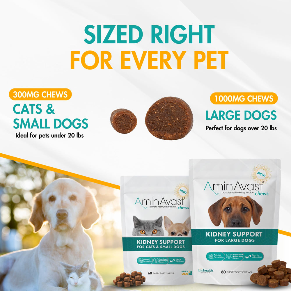 AminAvast packaging scene highlights shelf-stable chews ready for long-term storage.