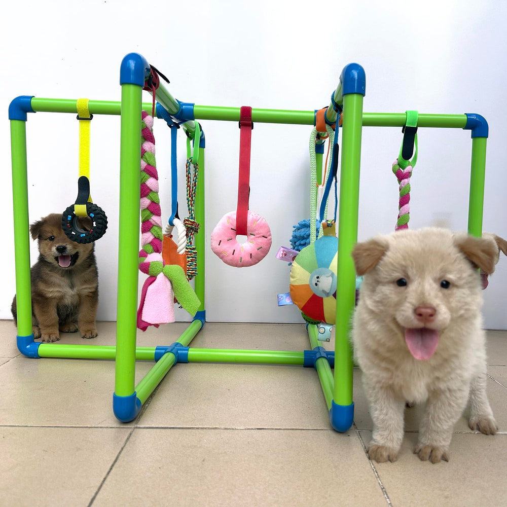 Amlmpet Puppy Play Gym adjustable toy heights customize play for growing puppies.