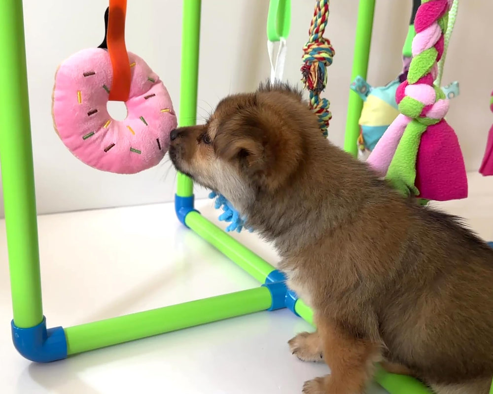 Amlmpet Puppy Play Gym tool-free setup allows quick indoor assembly.