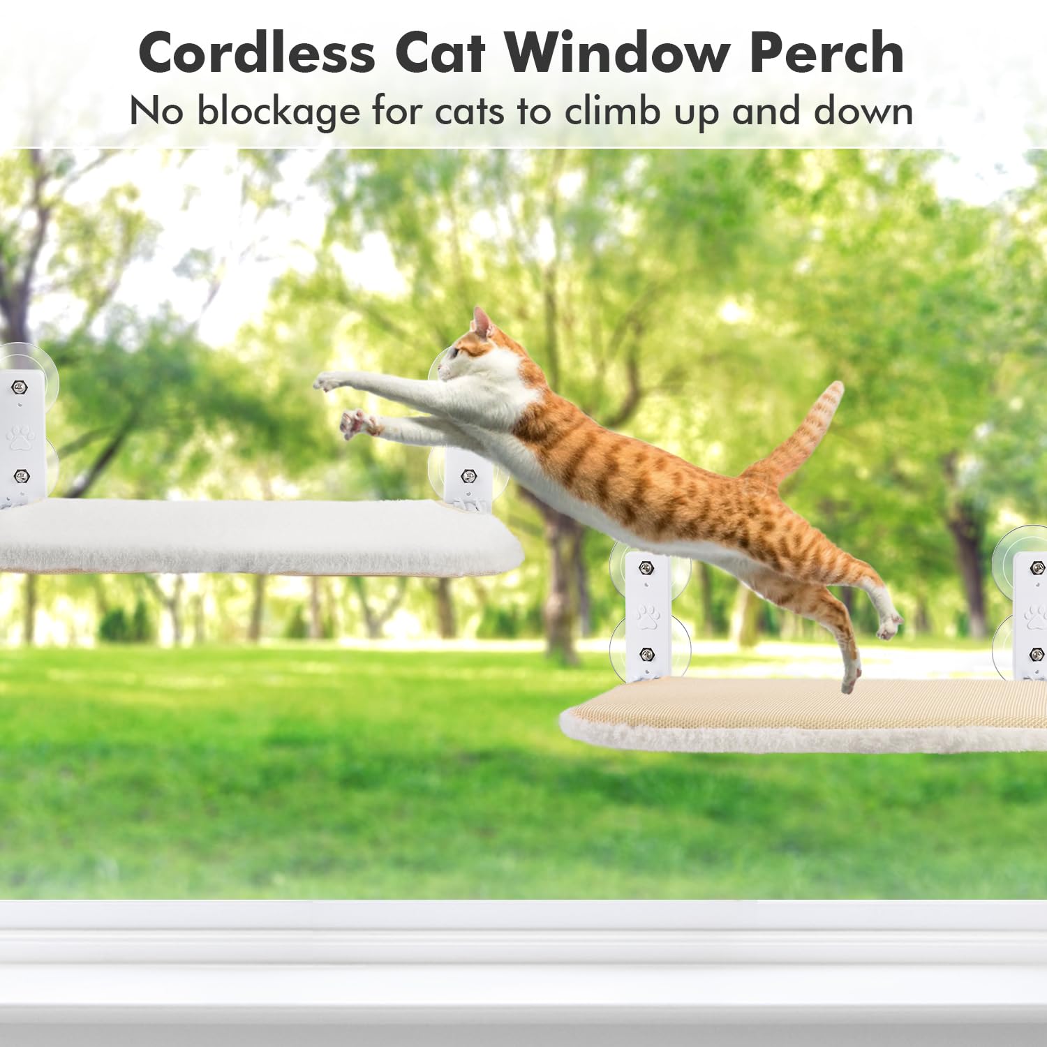 AMOSIJOY 360° window perch lets cats enjoy sun and views from every angle.