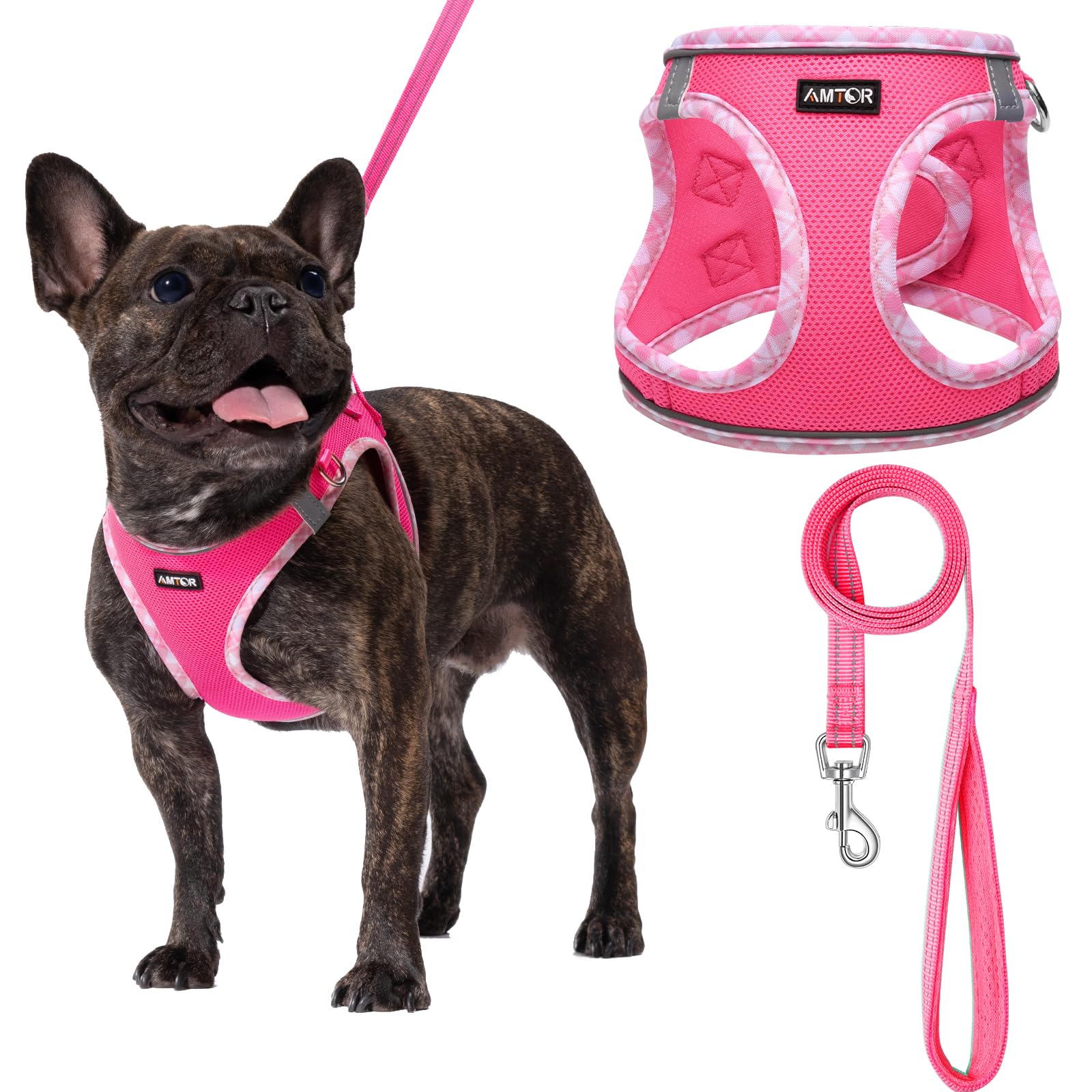 AMTOR small dog harness with leash set - front view for gentle control during walks