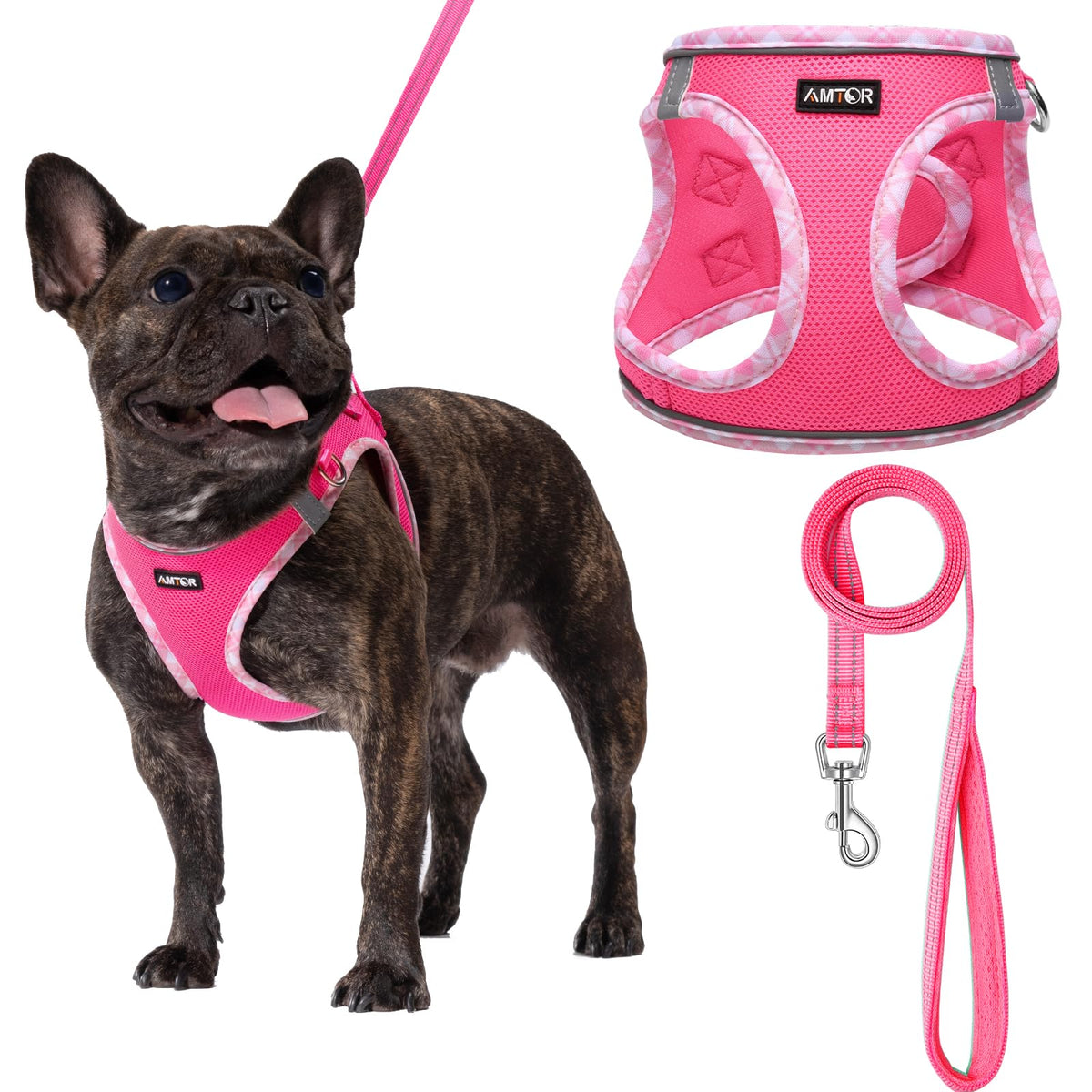 AMTOR small dog harness with leash set - front view for gentle control during walks