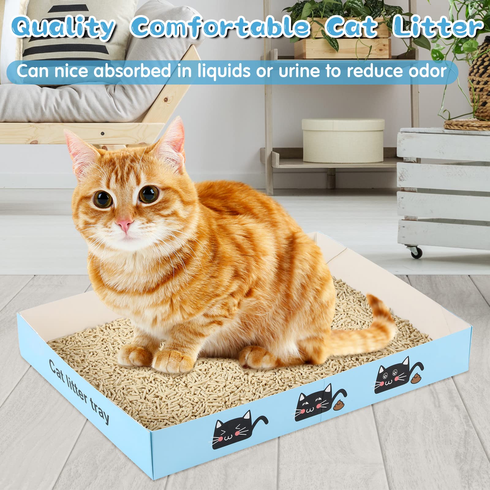 Amyhill low-entry litter tray providing easy access and reduced mess.