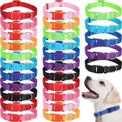 Amylove 27-piece dog collar pack in multiple colors for daily wear.