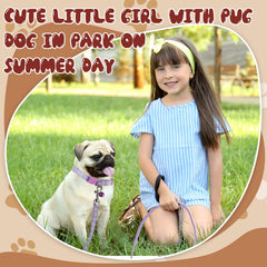 Amylove hook and buckle design enables quick on/off during walks.