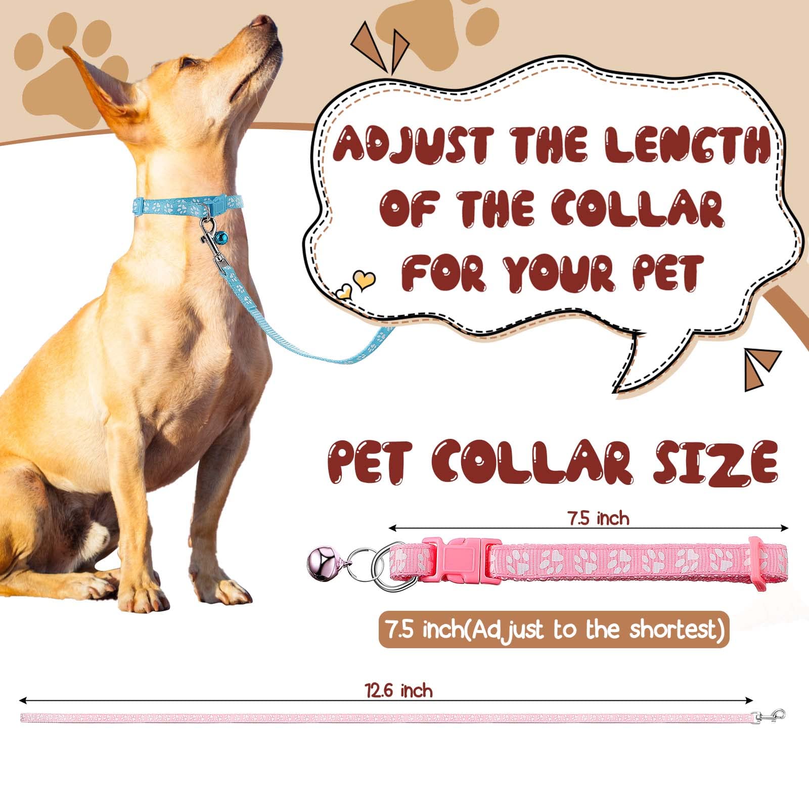 Amylove multicolor dog leashes for vibrant outdoor adventures.