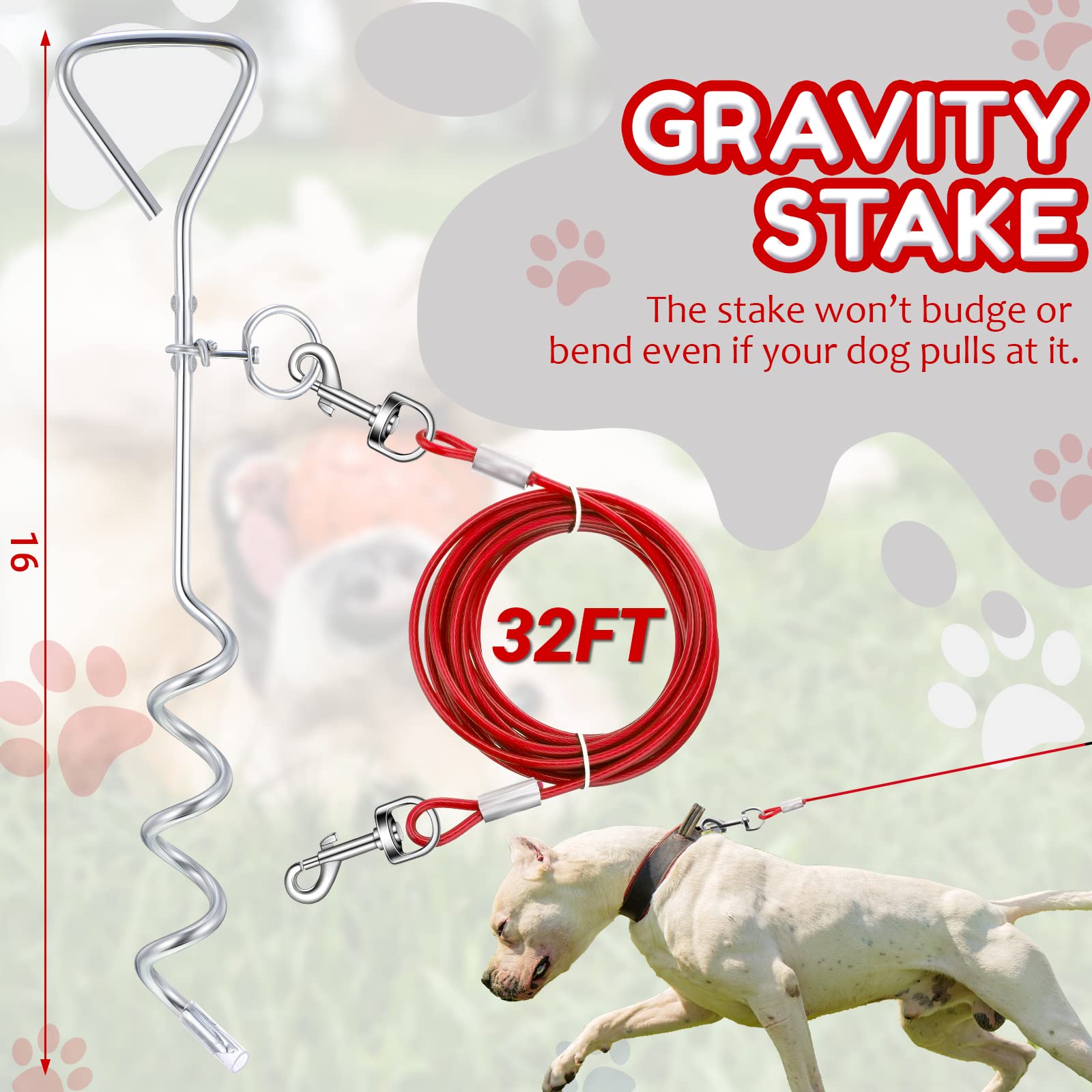 Amylove spiral stake 16-inch provides stable grounding for dogs.