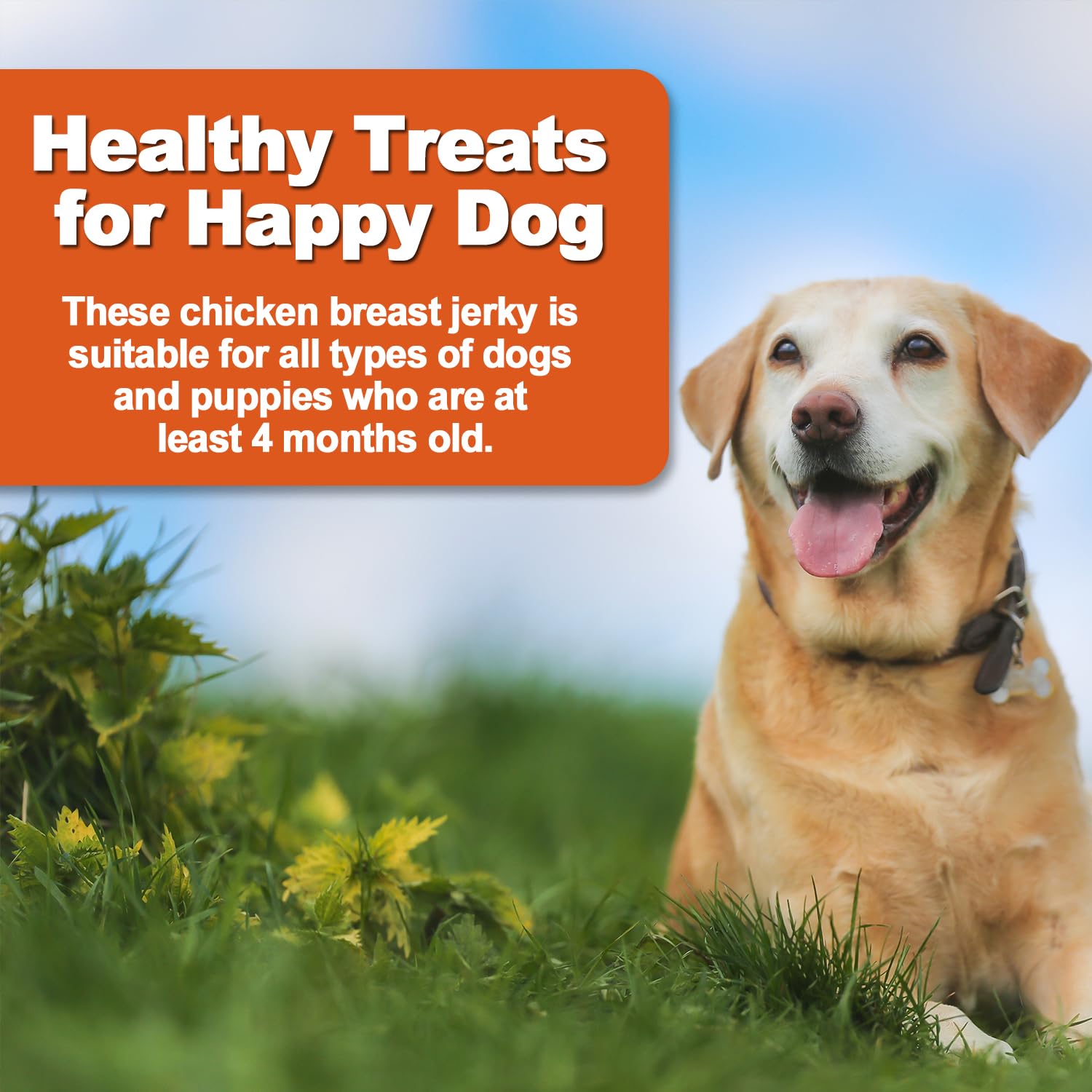 Amzey 24 oz canine treat bundle ready for bulk snacking.