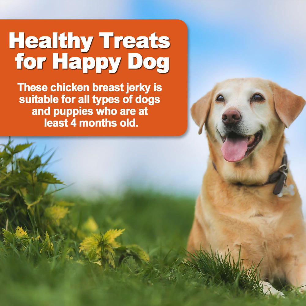 Amzey 24 oz canine treat bundle ready for bulk snacking.