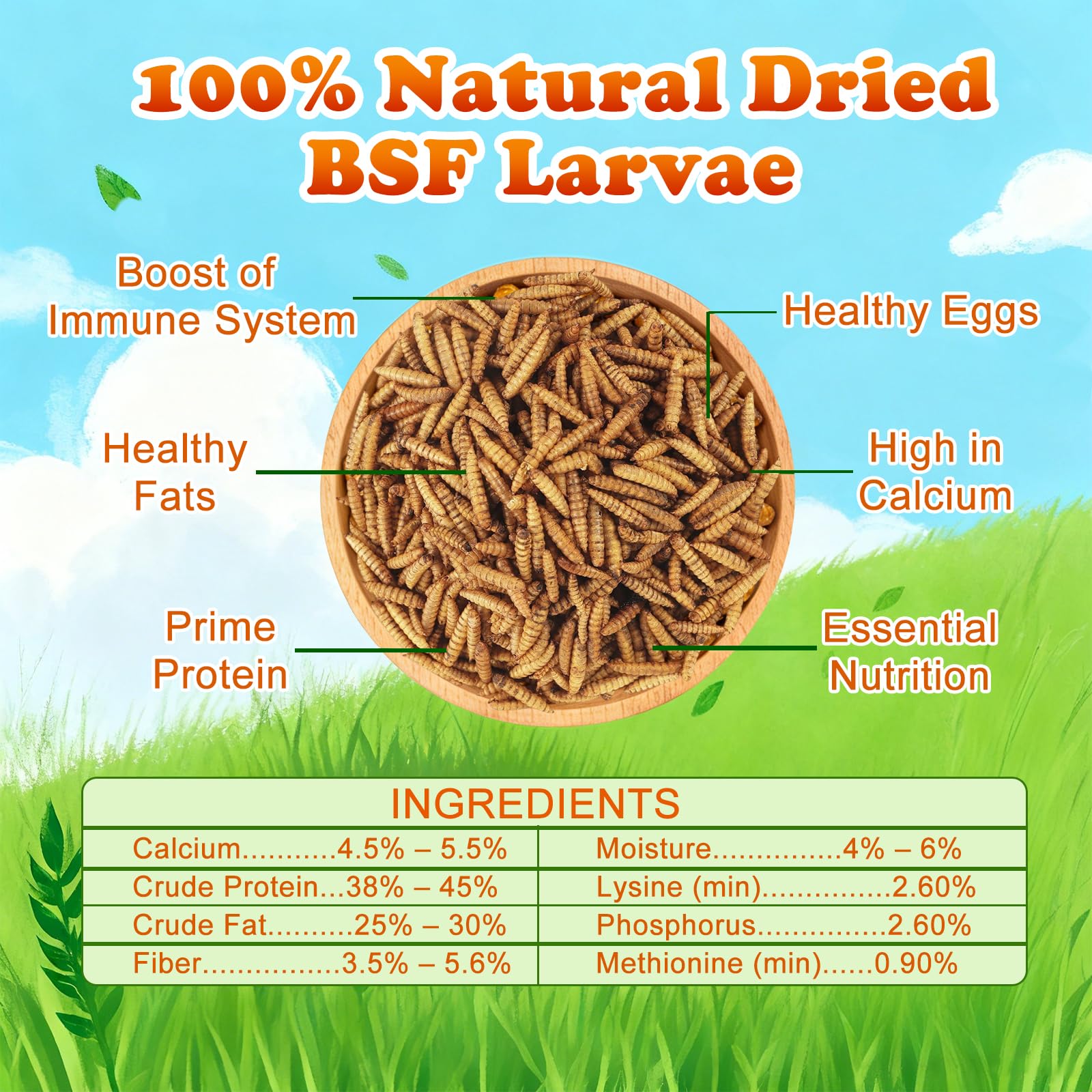 Amzey BSF larvae closeup, rich in calcium and protein for healthier eggs.