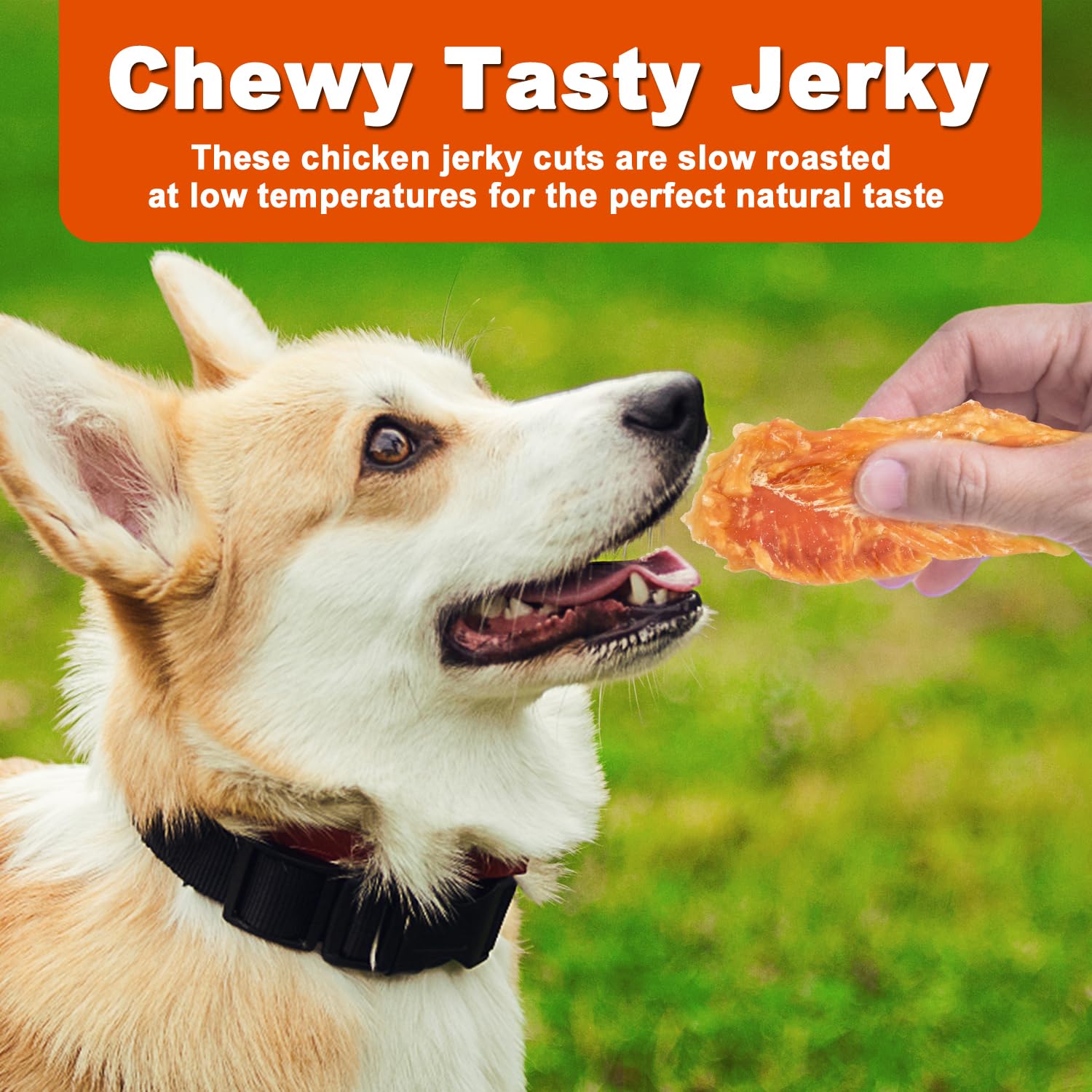 Amzey Chicken Jerky Dog Treats four resealable bags for easy portion control.