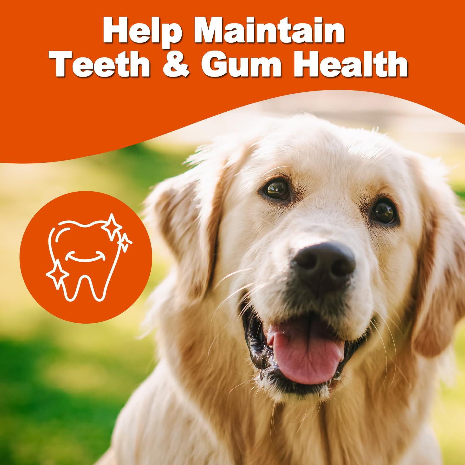 Amzey Grain-free protein dog treats suitable for all breeds and sizes.