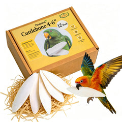 Amzey cuttlebone 4-6 inch sun-dried for birds supports healthy bones and vibrant feathers.
