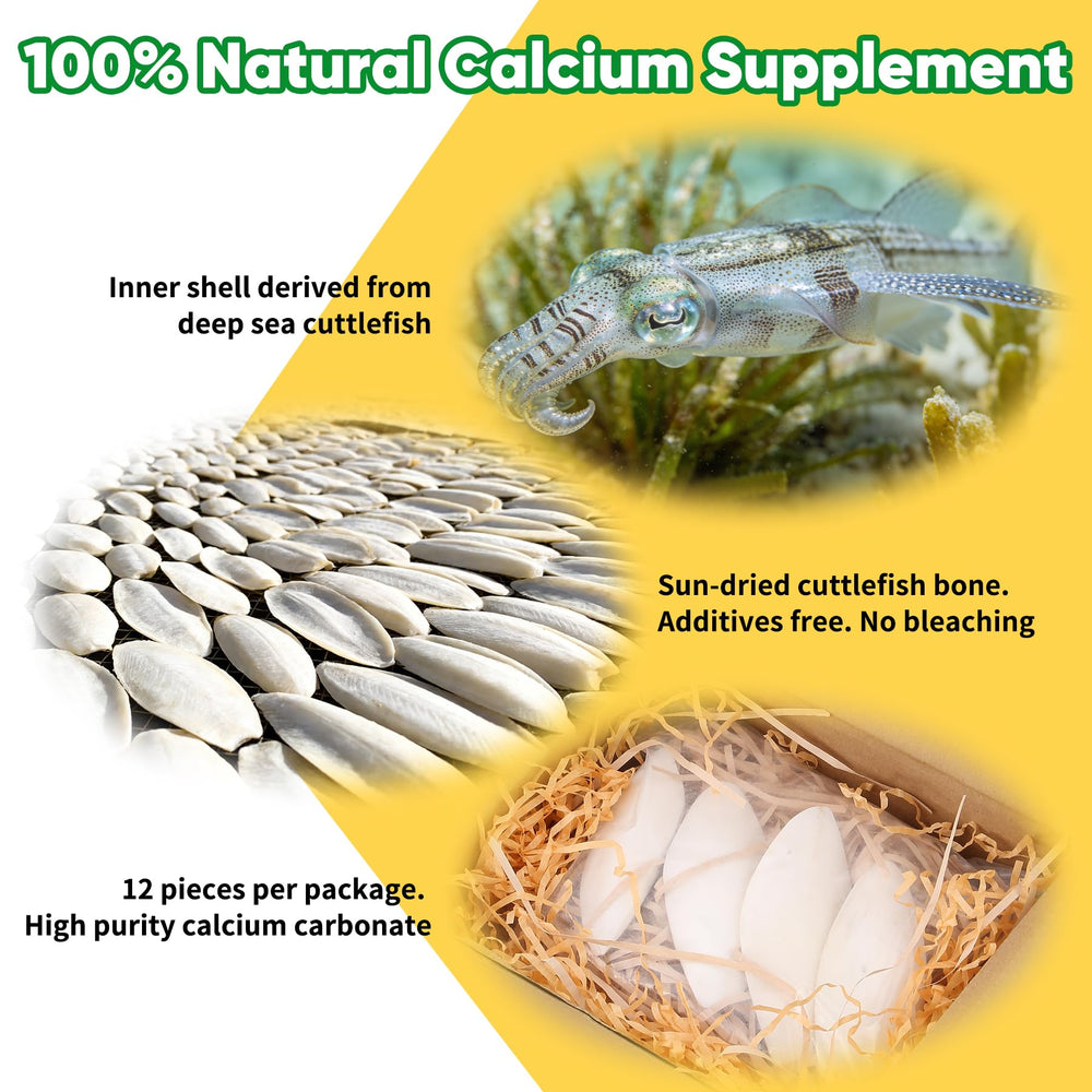 Amzey cuttlebone bird-feathers health and shell strength.