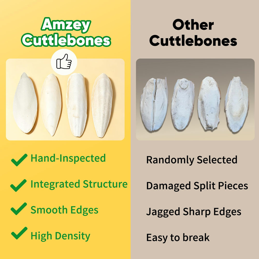 Amzey sun-dried cuttlebone calcium for eggshell support.