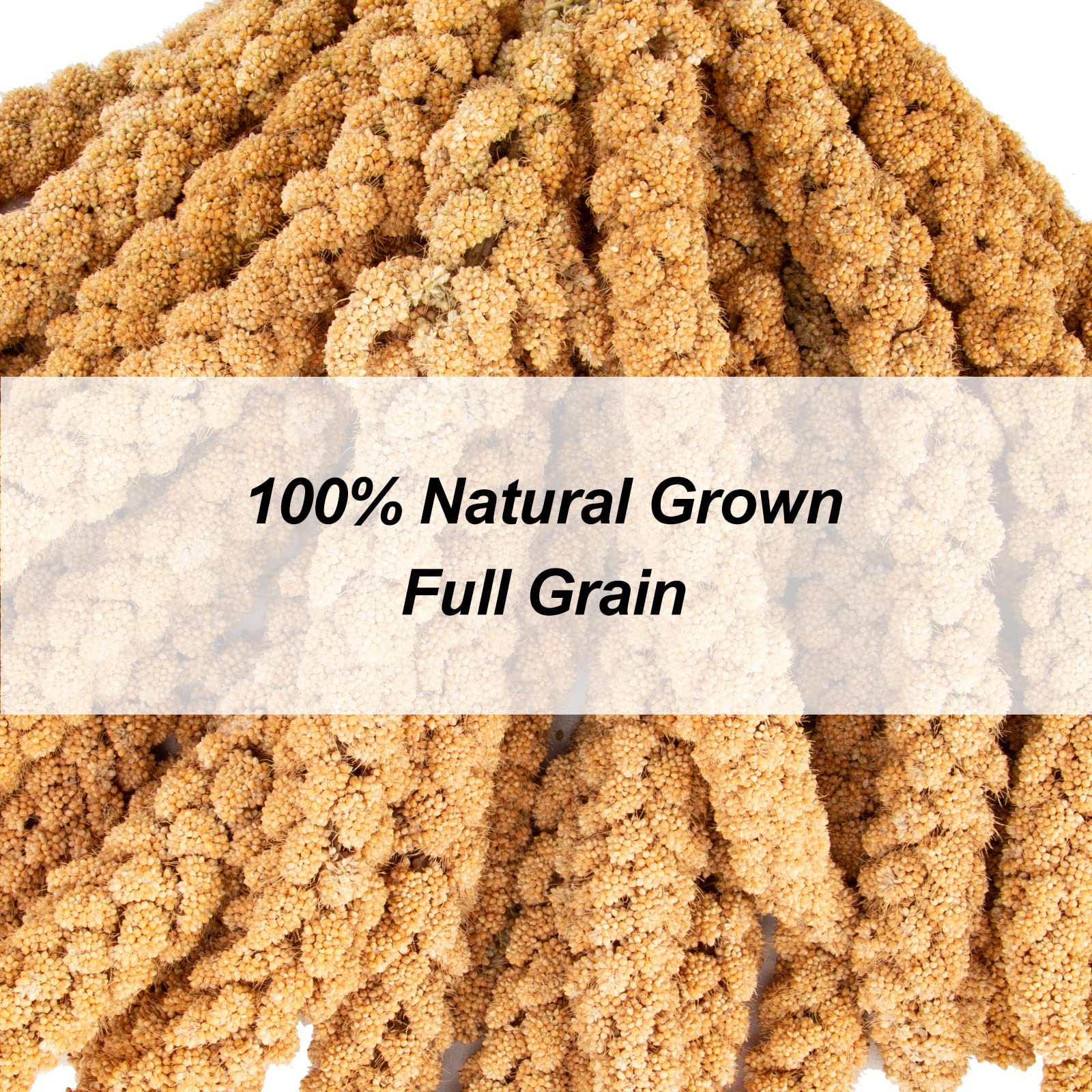 Amzey millet with no additives, clean bird treat.