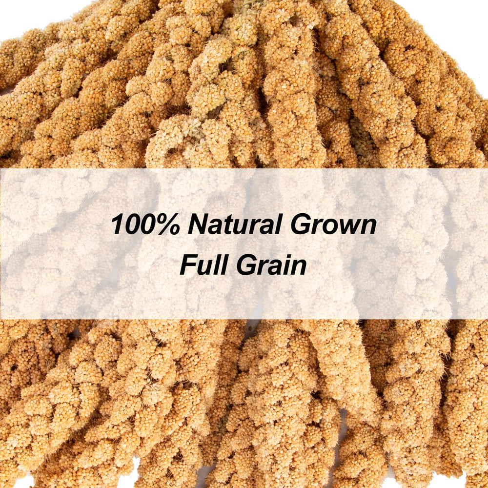 Amzey millet with no additives, clean bird treat.